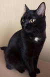 ONYX a true  sweetheart
