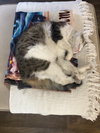 GEORGE #1835 - Offered by Owner - In/Out