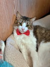 GEORGE #1835 - Offered by Owner - In/Out