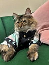 PIXIE #1837 - Offered by Owner