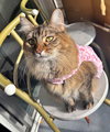 PIXIE #1837 - Offered by Owner
