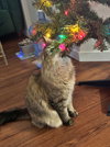 PIXIE #1837 - Offered by Owner