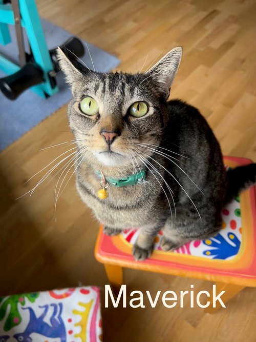 LAKOTA & MAVERICK #1839D - Offered by Owner