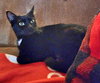 KATERINA -