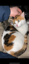 PHOEBE #1849 - Offered by Owner