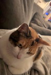 PHOEBE #1849 - Offered by Owner