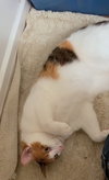 PHOEBE #1849 - Offered by Owner