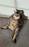 KIMBA #1850 - Offered by Owner - Senior Sweetheart