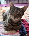 EMMIE - Young female
