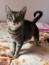 EMMIE - Young female