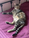 EMMIE - Young female