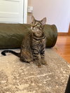 EMMIE - Young female