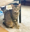 EMMIE - Young female