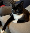 JAX #1858 - Offered by Owner - Young Tux