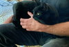 KIKI #- Offered by Owner - Indoor/outdoor Friendly