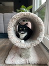 DUTCHESS #1864 - Offered by Owner - Friendly Tux