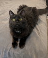 SHIPPO & KILALA #1868 - Offered by Owner - Bonded
