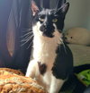 TYRION #1887 - Offered by Owner