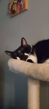 TYRION #1887 - Offered by Owner