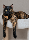 FREIDA #1901 - Offered by Owner