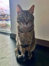 LACEY #1905 - Offered by Owner - 10 years