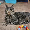 PEPPER #1920 - Offered by Owner