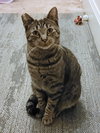 PEPPER #1920 - Offered by Owner