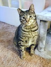PEPPER #1920 - Offered by Owner