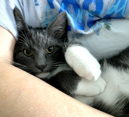 Finnick #1924- Offered By Owner photo 4