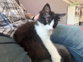 Janet photo 2
