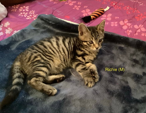 Richie
