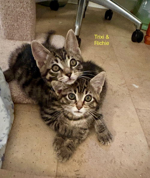 Richie photo 2