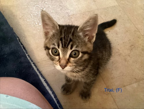 Trixi photo 2