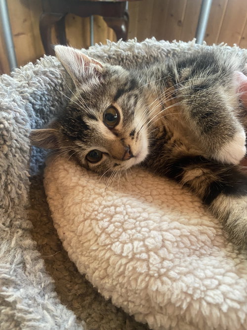 Jax