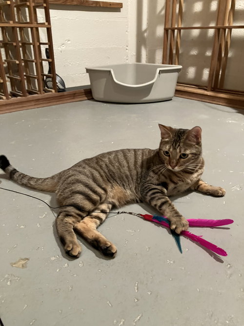 Mabel photo 3