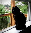 NYXIE #1968 - Offered by Owner