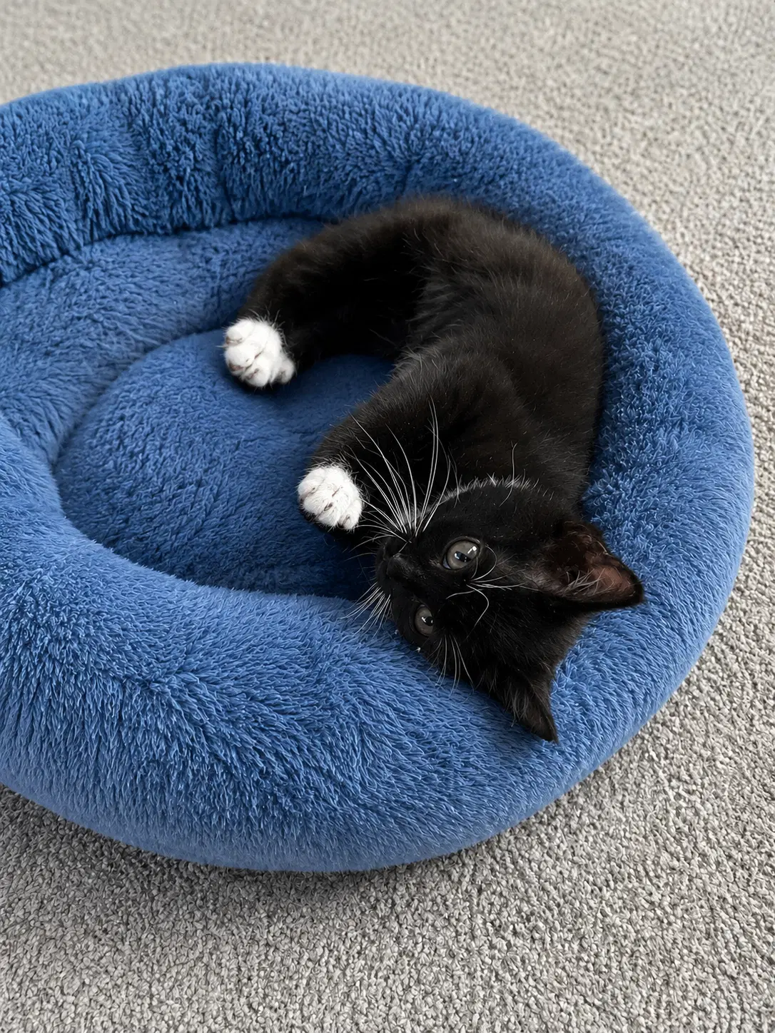 Spice Girls Litter Sporty Spice - Tuxedo