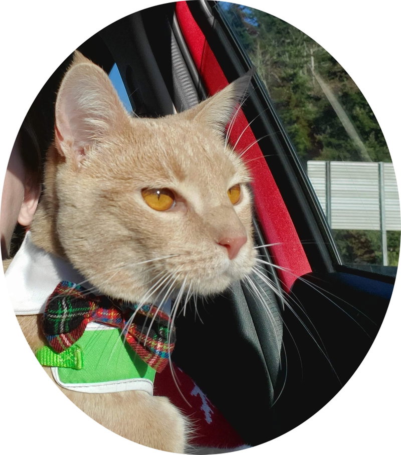 Kovu, photo 3
