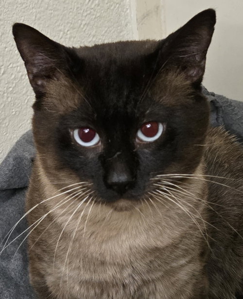 Photo 2 of KITTY MARTIN #2038 - Offered by Owner - Friendly