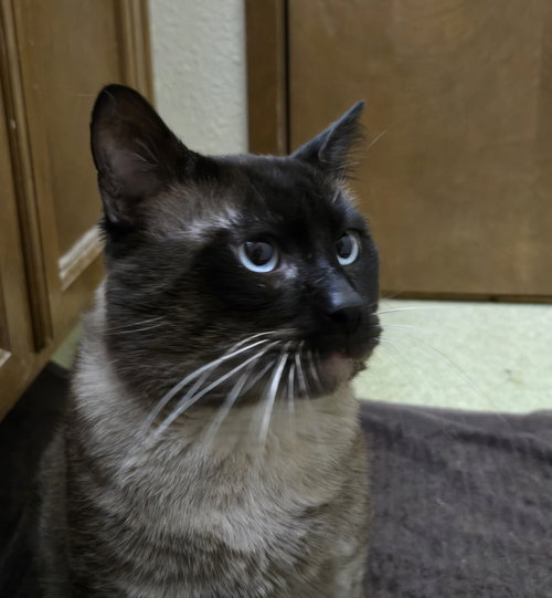 Photo 3 of KITTY MARTIN #2038 - Offered by Owner - Friendly