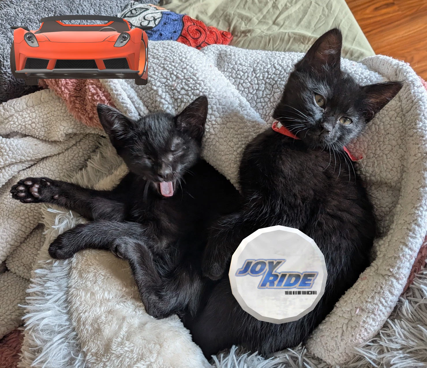 Auto Shop Brothers