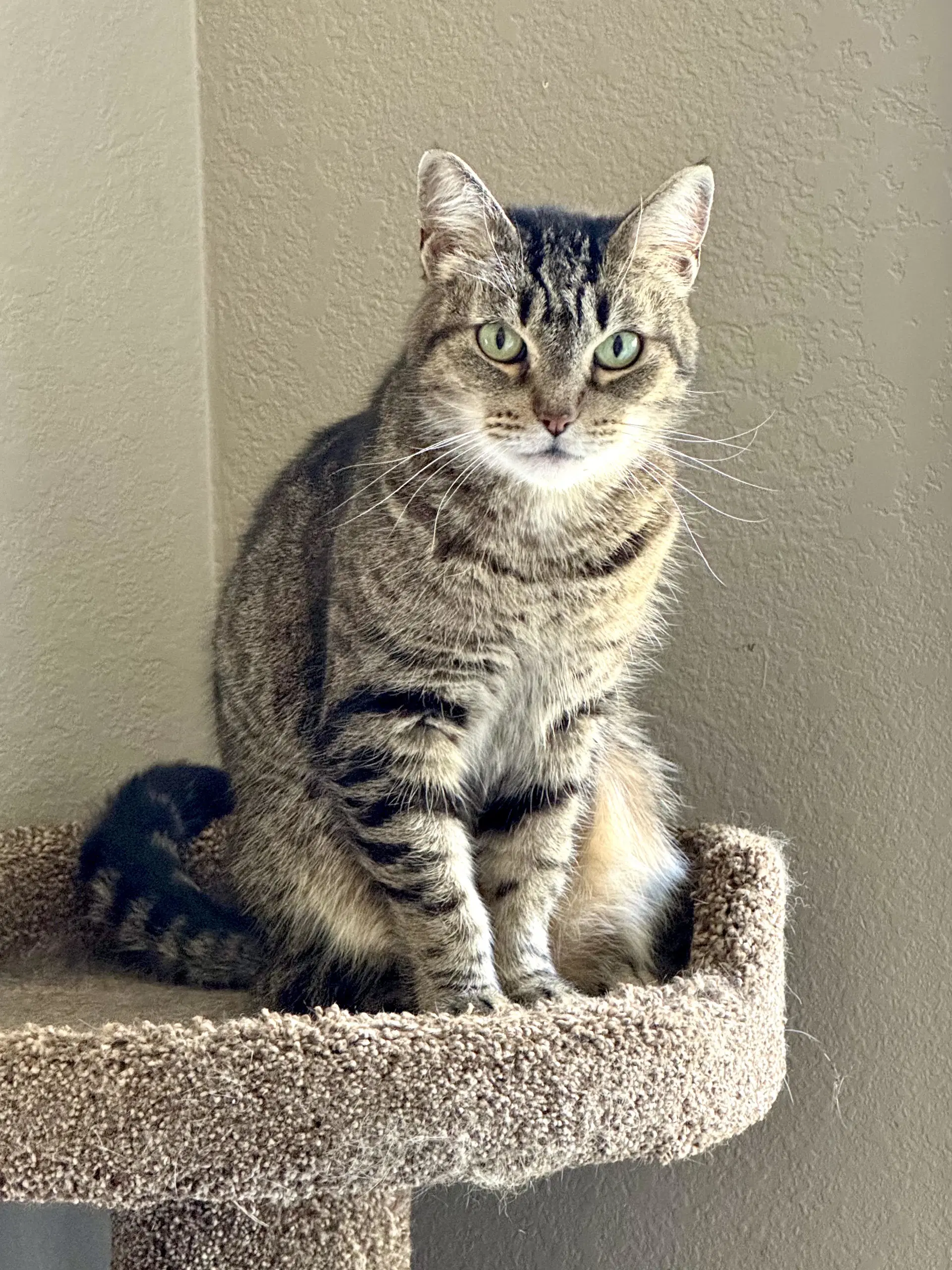 Millie image 2