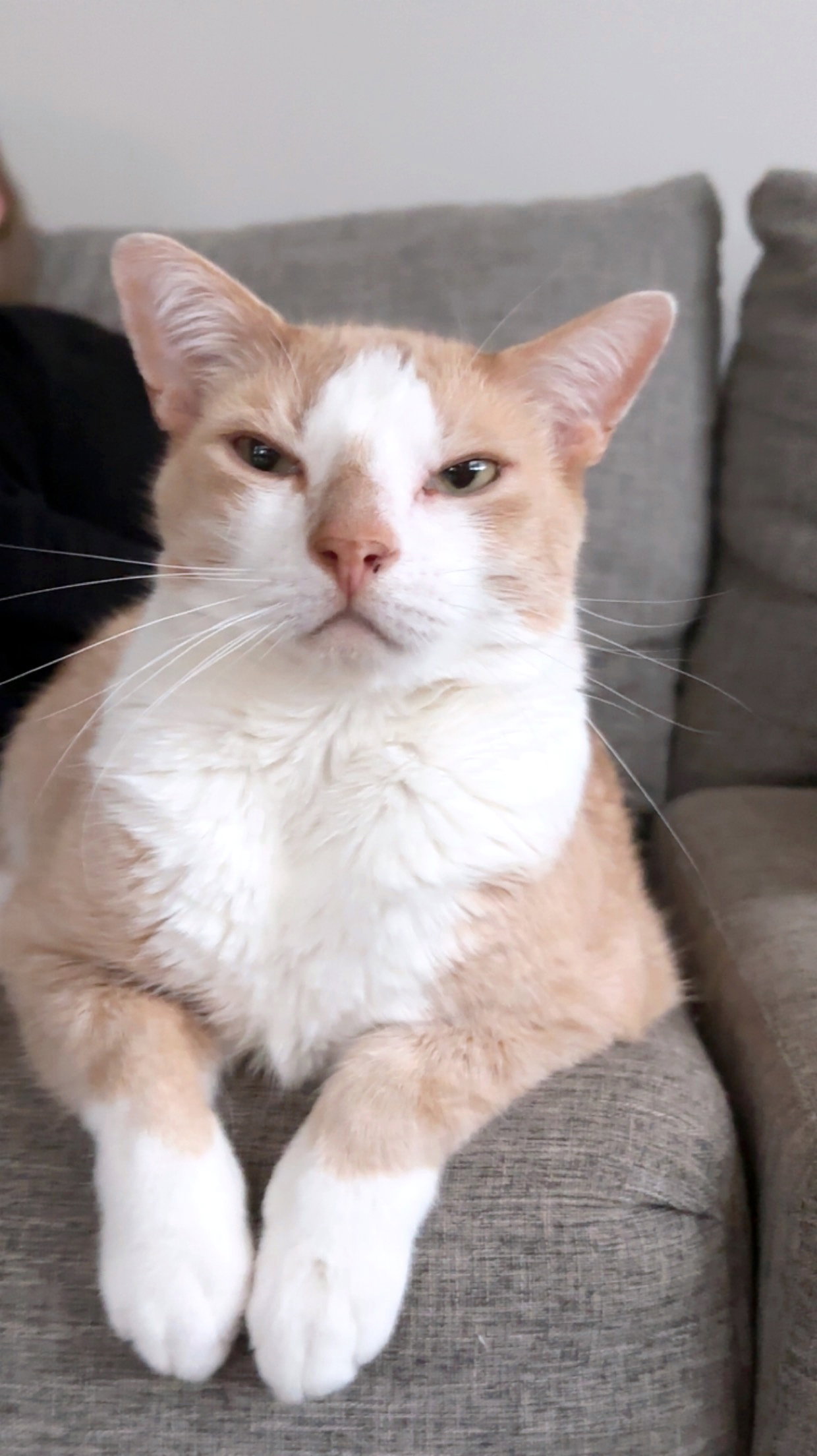 ROCKY #2050 - Offered by Owner, photo 3