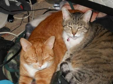 Thomas & Alice *Offered by Owner Pair*