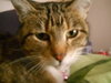 Thomas & Alice *Offered by Owner Pair*
