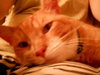 Thomas & Alice *Offered by Owner Pair*