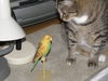 Libby Jane *Offered by Owner* Friendly to Everyone