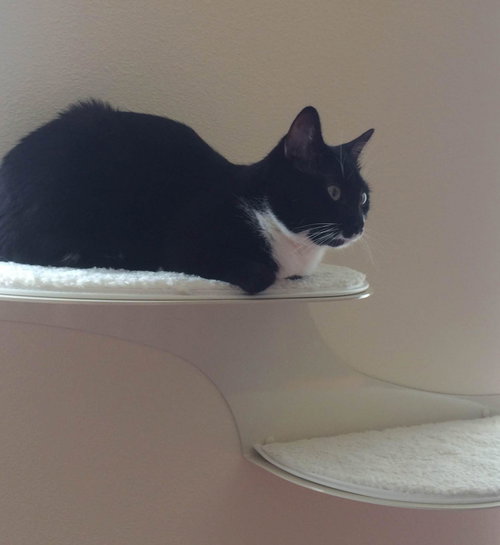 Meeka 