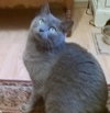 Lulu 