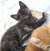 JuJuBe (and sister Fizzy)